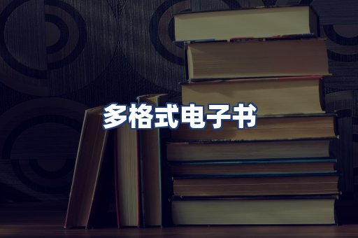 多格式电子书